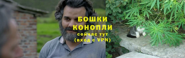 винт Новозыбков