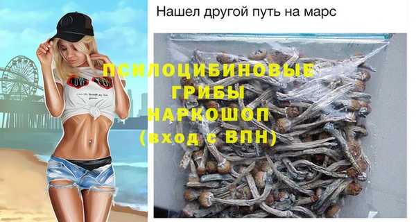 СК Нязепетровск