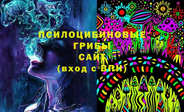 винт Новозыбков