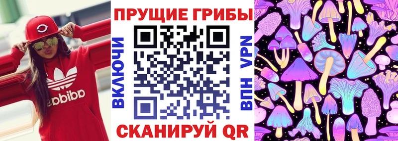 как найти   Красавино  Галлюциногенные грибы MAGIC MUSHROOMS 